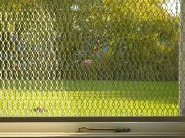 Window Guard Grille